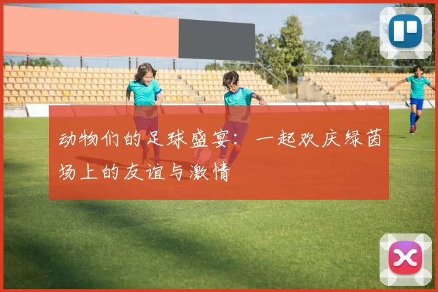动物们的足球盛宴：一起欢庆绿茵场上的友谊与激情