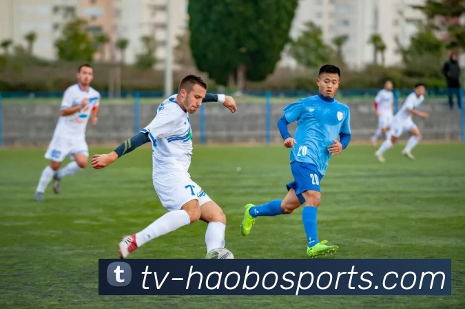 多媒体互动体验